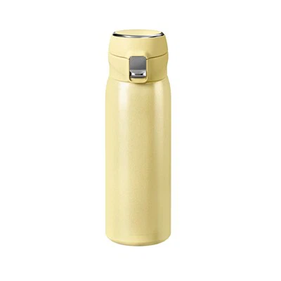 500ml Stainless Steel Vacuum Flask
